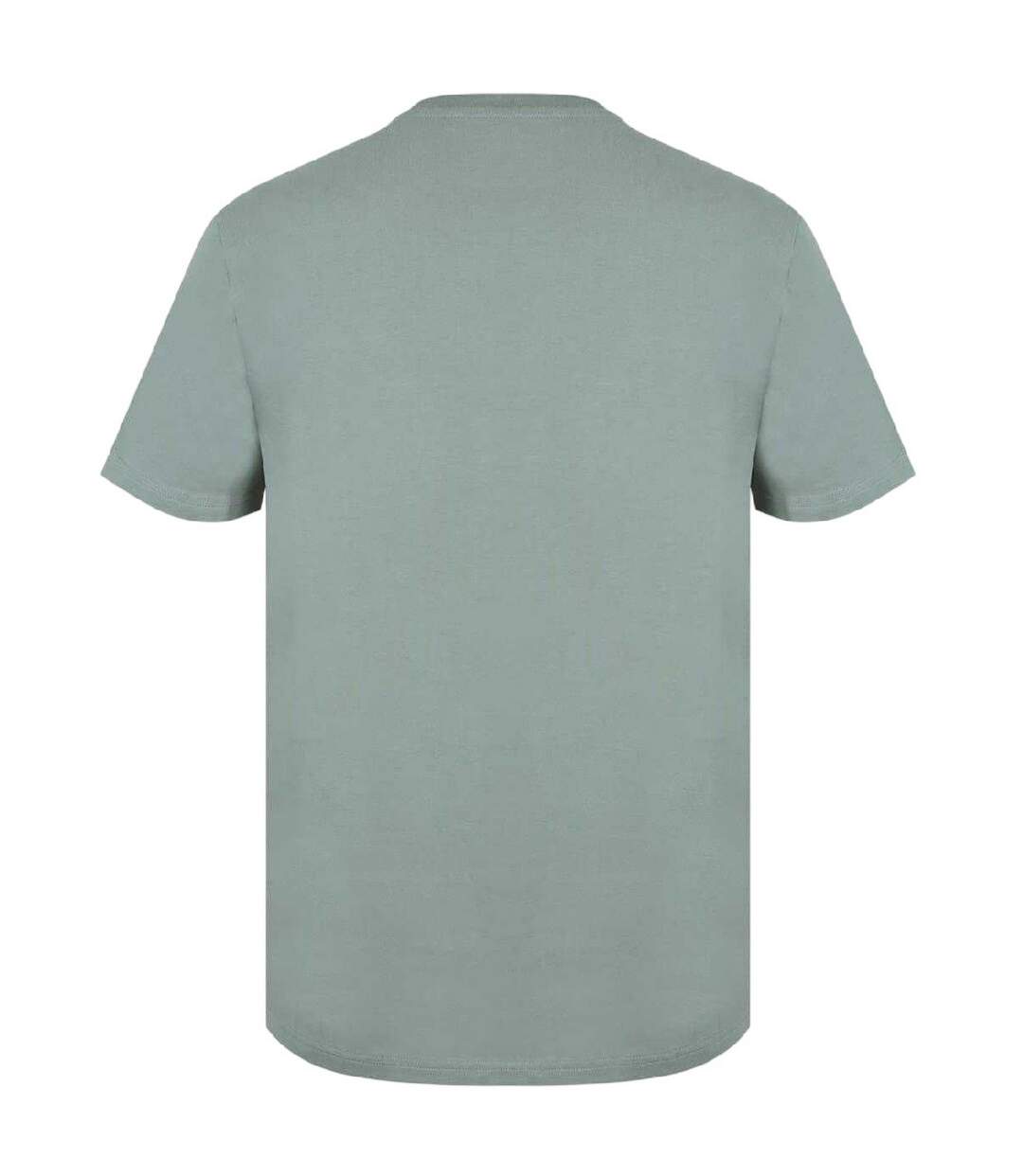 T-shirt Motif/style Logo Sandleford Homme Sauge Argenté Jack Wills-2