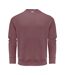 Unisex Adult Hopedale Crew Neck Sweatshirt Dusty Red James Harvest-1