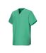 Unisex Adult Work Tunic Light Green Exner-3