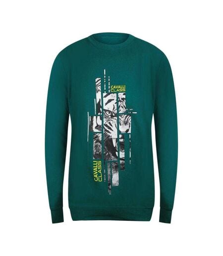 Sweat Motif/style Tigre Splintered Adulte Vert Cavalli Class