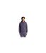Mens Embroidered Logo Hoodie Graystone Lyle & Scott-1