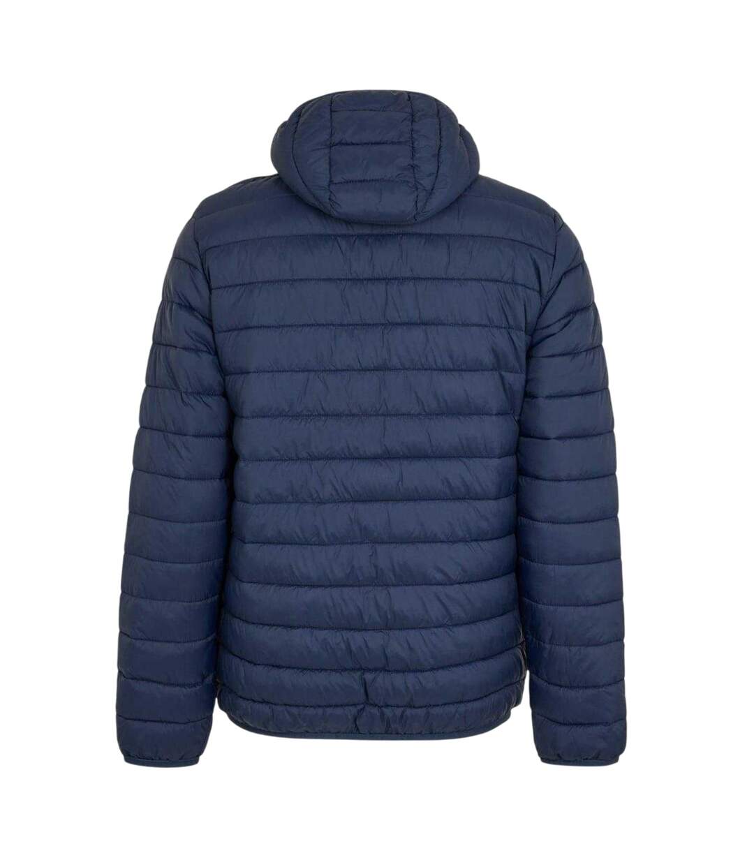 Doudoune Motif/style Logo Homme Bleu Marine Aquascutum-3