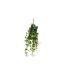 Tige Lierre Artificiel Tria 85cm Vert-1