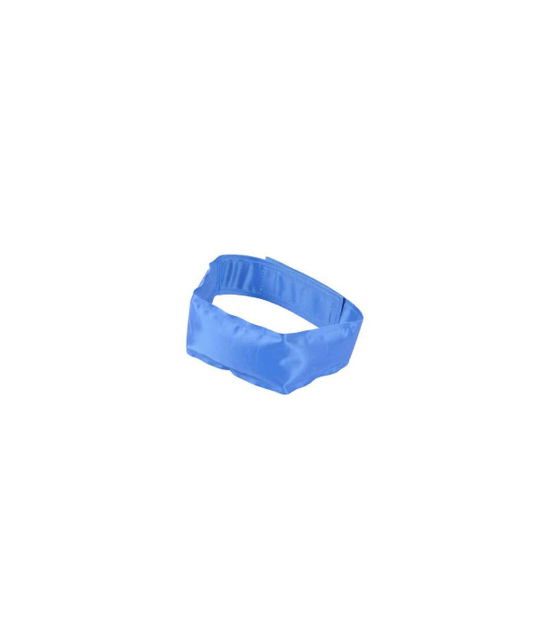 Collier pour Chien Rafraîchissant 45cm Bleu-1