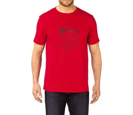 Tee - shirt STARK2