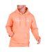 Sweat à capuche orange homme project x paris signature-1