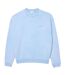 Unisex Adult Washed Fleece Loose Fit Sweatshirt Light Blue Lacoste-2