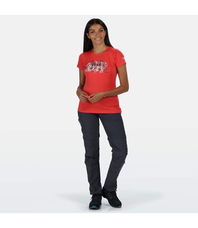 Womens/ladies Chaska Ii Walking Trousers Seal Grey Regatta