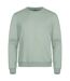 Unisex Adult Miami Round Neck Sweatshirt Sage Green Clique-1