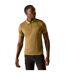 Polo Remex Homme Jaune Vieil Or Regatta-1