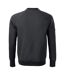 Sweat Manches Raglan Vertex Homme Gris Pâle Rimeck-2
