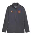 Mens 2023/2024 Manchester City Fc Jacket Grey Puma-2