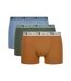 Lot de 3 Boxers Coton Stretch Bio-3