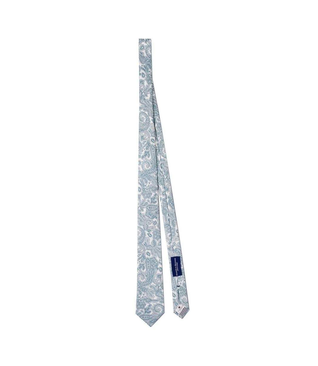 Mens Paisley Silk Twill Tie One Size Mint Haines And Bonner-2