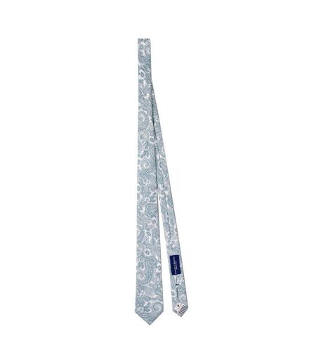 Mens Paisley Silk Twill Tie One Size Mint Haines And Bonner