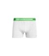 Duck and Cover Mens Dugan Boxer Shorts (Pack of 3) (Blue/White/Gray)