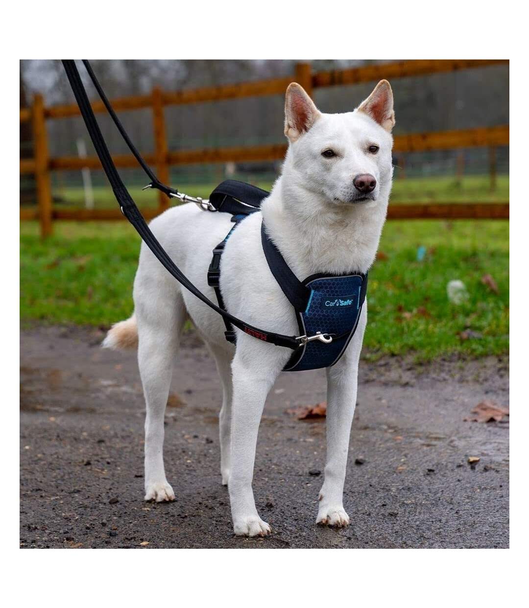 Carsafe crash tested dog harness xs black Company Of Animals-3