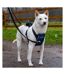 Company Of Animals Carsafe Crash Tested Dog Harness (Black) (S) - UTTL4959