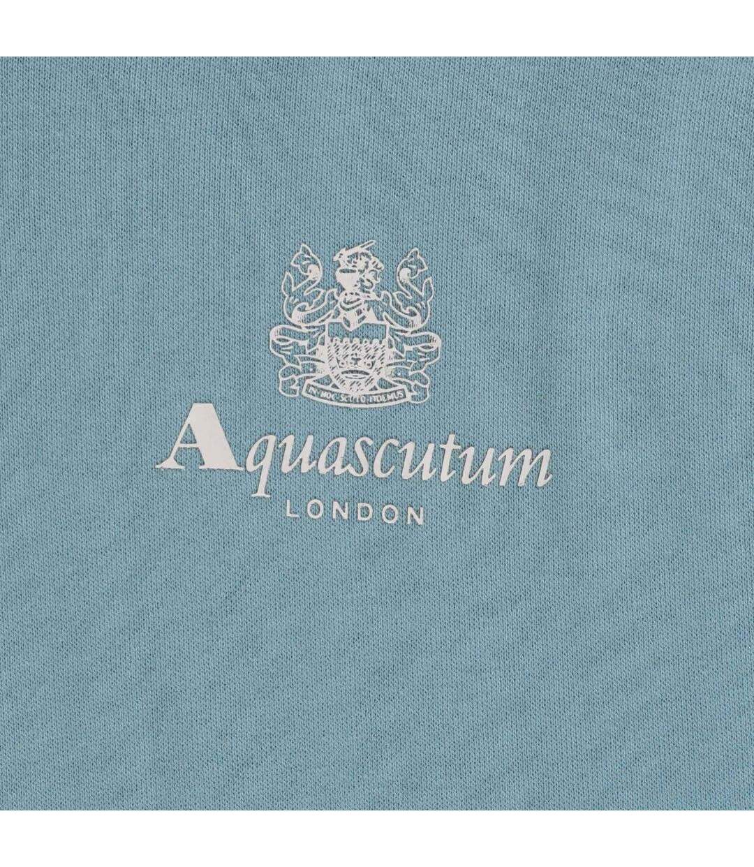 Sweat À Capuche Motif Petit Logo Active Homme Bleu Clair Aquascutum-3