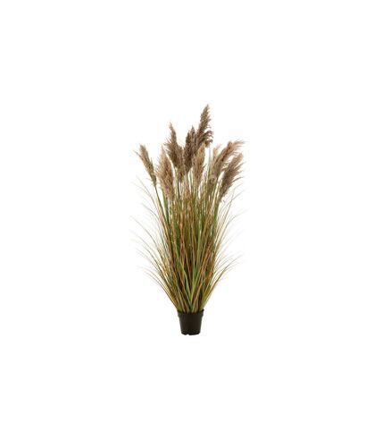 Herbe de Pampas Artificielle en Pot 13 Têtes 150cm Vert & Beige