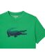 Mens Daniil Medvedev Tennis T-shirt Green Lacoste-4