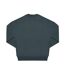 Sweat influence adulte bleu sarcelle B&C-2