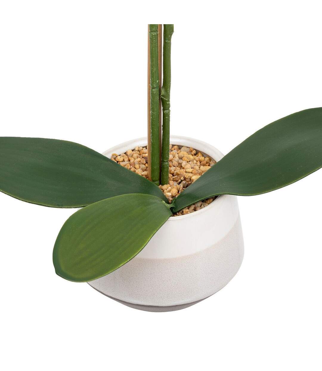 Orchidée Artificielle en Pot Clera 52cm Blanc-3