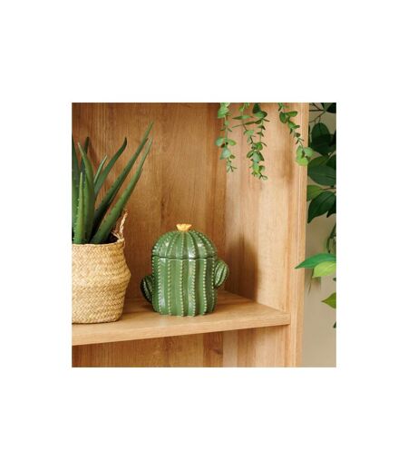 Boîte Cactus Déco en Céramique Yucatan 16cm Vert