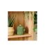 Boîte Cactus Déco en Céramique Yucatan 16cm Vert-4