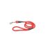 Laisse Ronde pour Chien Essentiel 100cm Rouge