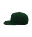 Lot de 2  casquettes avec visière plate adulte vert Atlantis