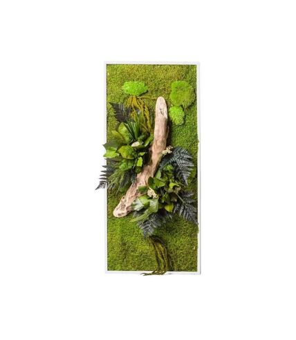 Tableau végétal stabilisé nature Rectangle 57 x 97 cm