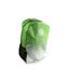 Celtic FC Official Soccer Fade Design Knapsack (Green/White) (One Size)