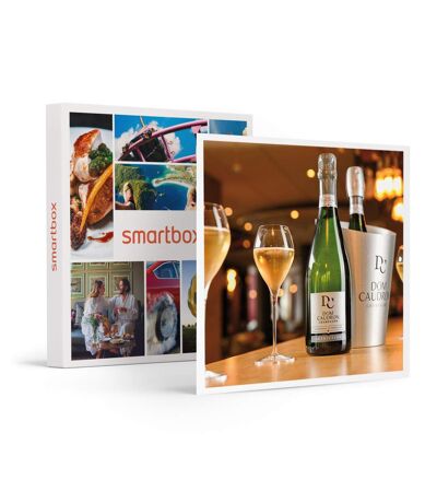 Dégustation de champagnes et visite en famille près de Reims - SMARTBOX - Coffret Cadeau Gastronomie