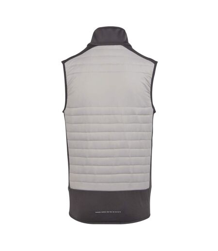 Veste Sans Manches E-volve Adulte Gris Cendre Regatta