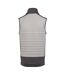 Veste Sans Manches E-volve Adulte Gris Cendre Regatta-3