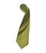 Premier Mens Plain Satin Tie (Narrow Blade) (Pack of 2) (Khaki) (One Size)
