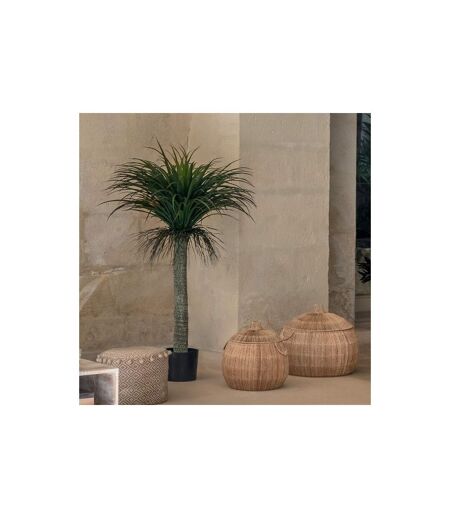 Plante Artificielle en Pot Yucca 150cm Vert & Noir