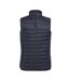 Unisex Adult Eugene Core Padded Gilet Black Brook Taverner-2