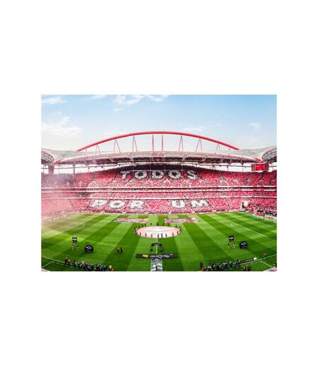Passion football : visite du stade de Luz du Benfica Lisbonne avec écharpe du club - SMARTBOX - Coffret Cadeau Sport & Aventure