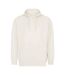 Sweat À Capuche Fashion Adulte Gris Pâle SF Men-1