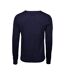 Tee Jays Mens Merino Blend V Neck Sweater (Navy)
