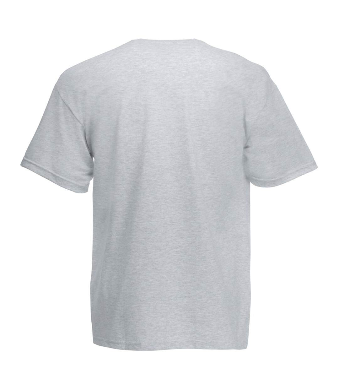 Fruit Of The Loom Mens Valueweight V-Neck, Short Sleeve T-Shirt (Heather Grey) - UTBC338