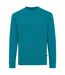 Unisex adult zion recycled cotton crew neck sweatshirt verdigris Iqoniq-1