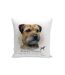 Border Terrier Filled Cushion (Brown/White) (One Size)