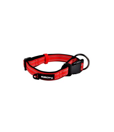 Collier pour Animaux Expert Réglable 55cm Rouge