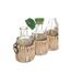 Lot de 5 Soliflores & Tiges Cosy 40cm Beige-2