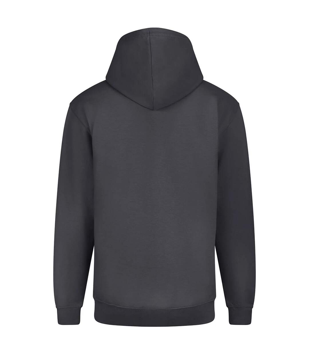Sweatshirt À Capuche Et Fermeture Zippée Homme Charbon Uni Awdis-2
