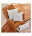 Westford Mill Fairtrade Cotton Canvas Cushion Cover (Natural) (UTRW5250)