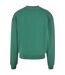 Sweat Homme Feuille Urban Classics-2